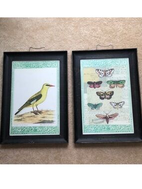John Derian for Target Framed Prints Set